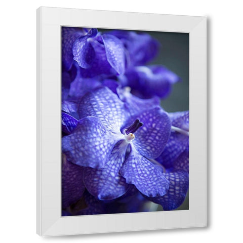 Vibrant Periwinkle Floral I White Modern Wood Framed Art Print by Millet, Karyn