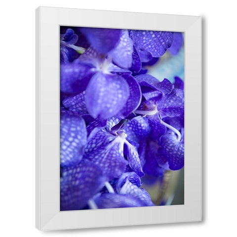 Vibrant Perwinkle Floral II White Modern Wood Framed Art Print by Millet, Karyn