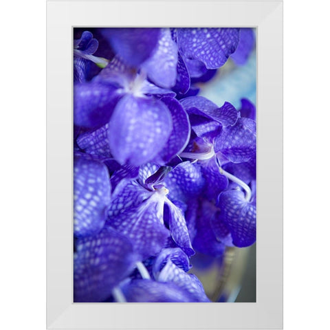 Vibrant Perwinkle Floral II White Modern Wood Framed Art Print by Millet, Karyn