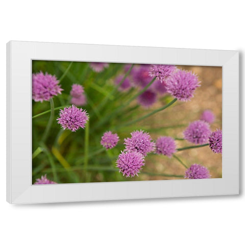 Purple Flower Ball I White Modern Wood Framed Art Print by Millet, Karyn