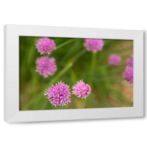 Purple Flower Ball II White Modern Wood Framed Art Print by Millet, Karyn