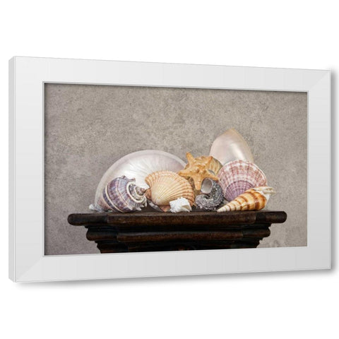 Seashell Still Life II White Modern Wood Framed Art Print by McNemar, C. Thomas