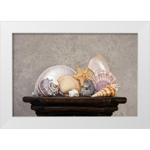 Seashell Still Life II White Modern Wood Framed Art Print by McNemar, C. Thomas