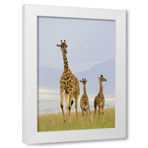 Savannah Strut White Modern Wood Framed Art Print by Parker, Susann