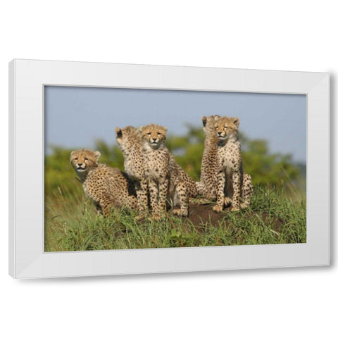 The Tribe White Modern Wood Framed Art Print by Parker, Susann