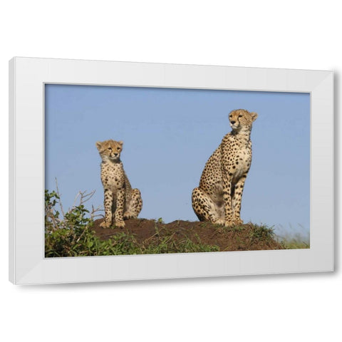 Set by Example White Modern Wood Framed Art Print by Parker, Susann