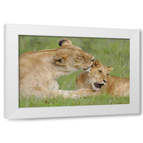 Gratitude White Modern Wood Framed Art Print by Parker, Susann