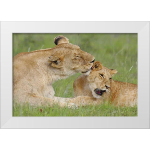 Gratitude White Modern Wood Framed Art Print by Parker, Susann