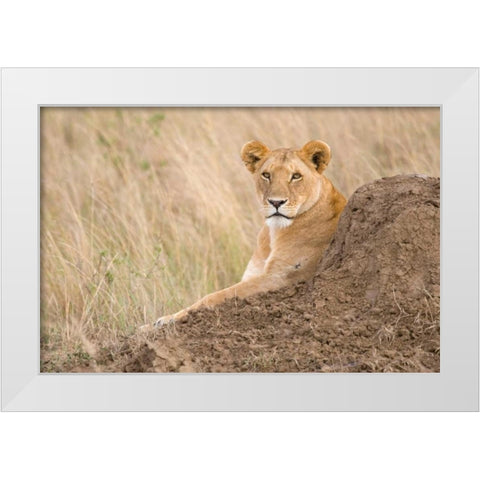 Vantage Point White Modern Wood Framed Art Print by Parker, Susann