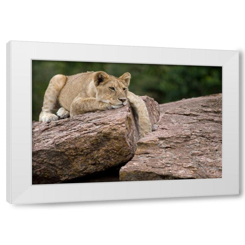 Lounging White Modern Wood Framed Art Print by Parker, Susann