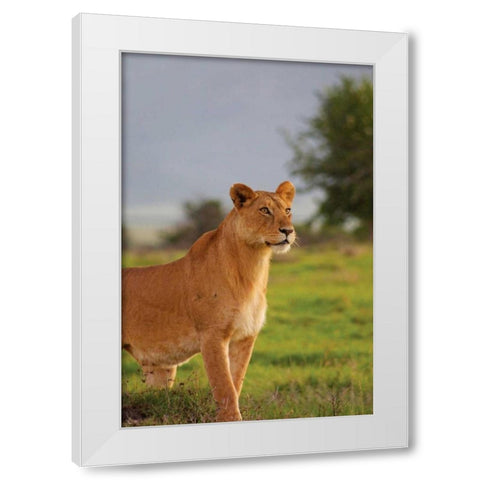 On Guard White Modern Wood Framed Art Print by Parker, Susann