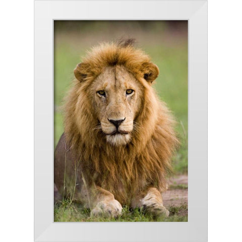 The King White Modern Wood Framed Art Print by Parker, Susann