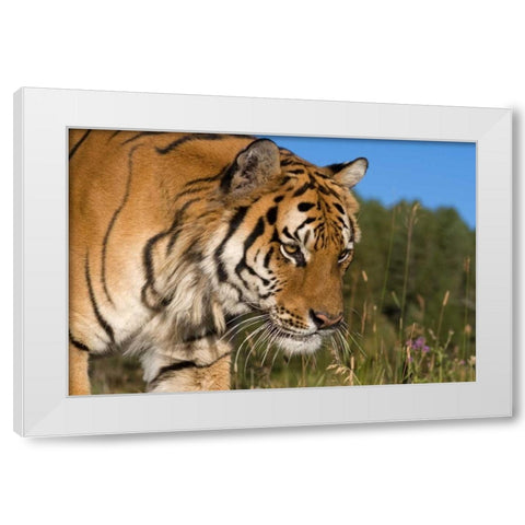 Emerging White Modern Wood Framed Art Print by Parker, Susann