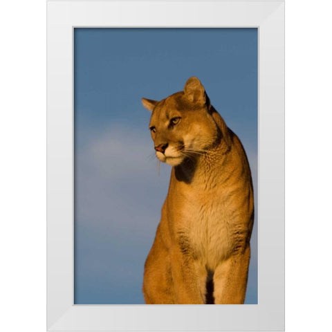 The Perfect View White Modern Wood Framed Art Print by Parker, Susann