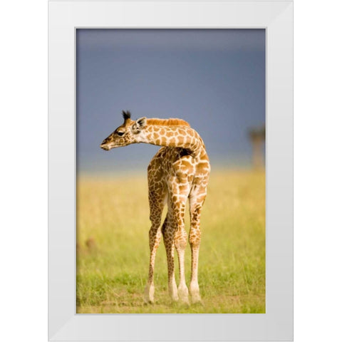 This Young One White Modern Wood Framed Art Print by Parker, Susann