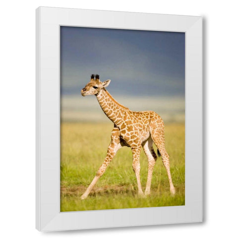 First Steps White Modern Wood Framed Art Print by Parker, Susann