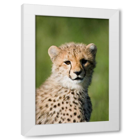 Innocence Renewed White Modern Wood Framed Art Print by Parker, Susann