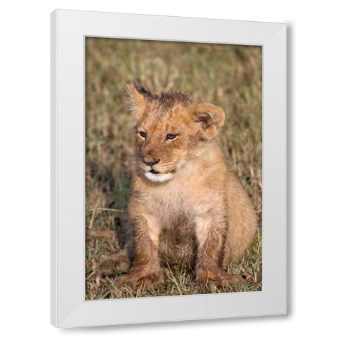 New Beginnings White Modern Wood Framed Art Print by Parker, Susann