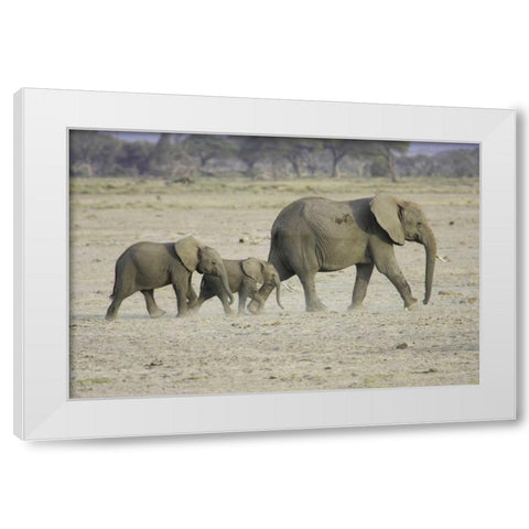 Memory Lane White Modern Wood Framed Art Print by Parker, Susann