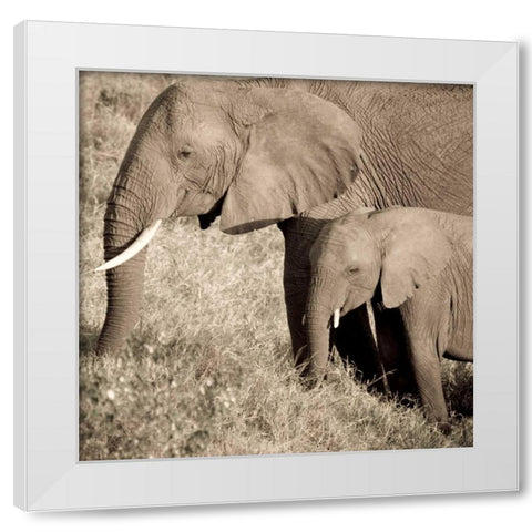 The Ultimate Bonding White Modern Wood Framed Art Print by Parker, Susann