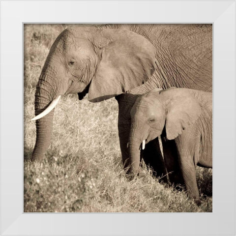 The Ultimate Bonding White Modern Wood Framed Art Print by Parker, Susann