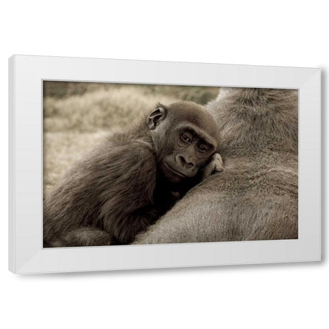 Security White Modern Wood Framed Art Print by Parker, Susann