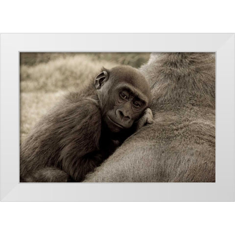 Security White Modern Wood Framed Art Print by Parker, Susann