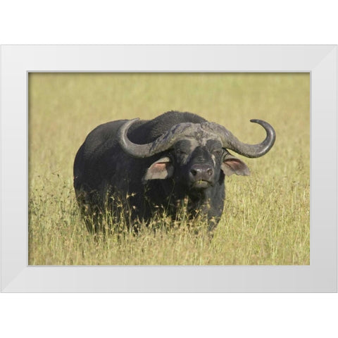 The Fixed Stare White Modern Wood Framed Art Print by Parker, Susann