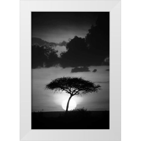 Kenta Sunrise White Modern Wood Framed Art Print by Parker, Susann