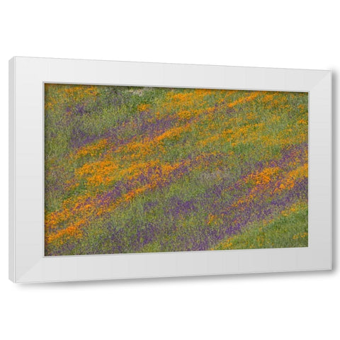Wildflower Hills III White Modern Wood Framed Art Print by Peterson, Lee