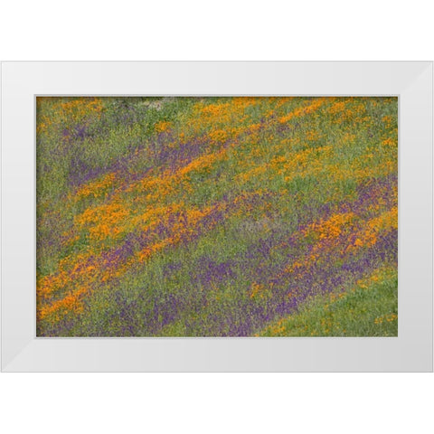 Wildflower Hills III White Modern Wood Framed Art Print by Peterson, Lee
