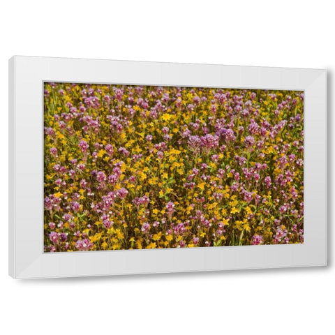 Yellow and Purple White Modern Wood Framed Art Print by Peterson, Lee