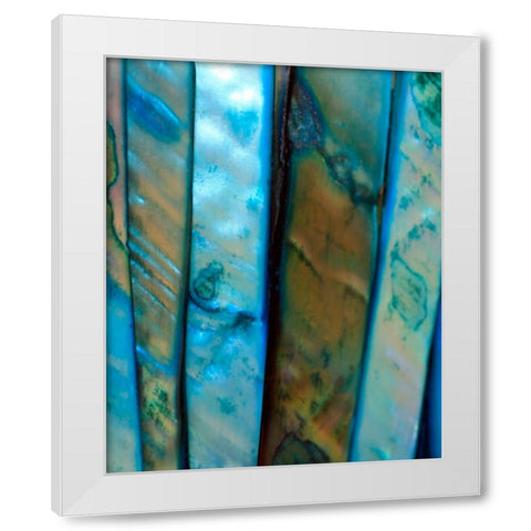Shell Be Blue II White Modern Wood Framed Art Print by Putman, Tammy