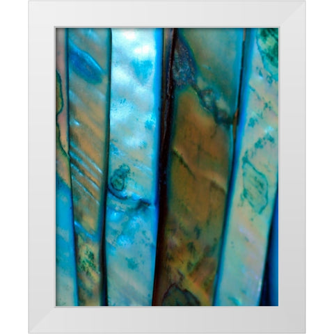 Shell Be Blue II White Modern Wood Framed Art Print by Putman, Tammy