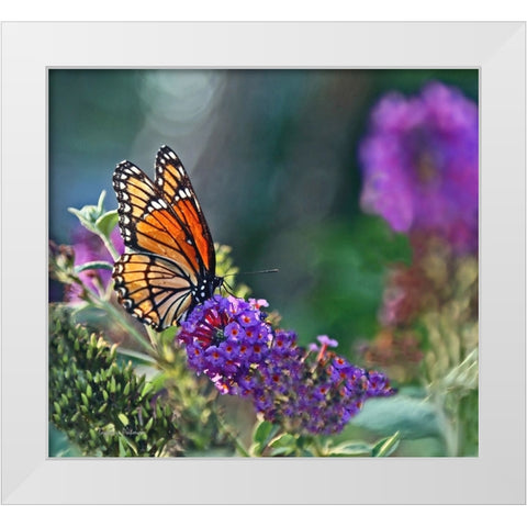 Monarch Garden II White Modern Wood Framed Art Print by Putman, Tammy