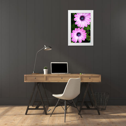In the Middle White Modern Wood Framed Art Print by Putman, Tammy