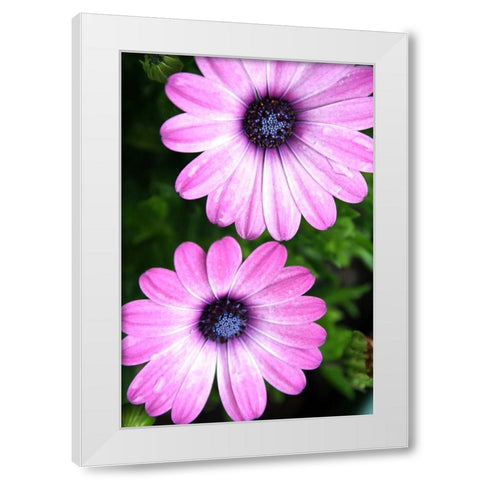 In the Middle White Modern Wood Framed Art Print by Putman, Tammy