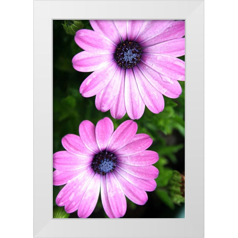 In the Middle White Modern Wood Framed Art Print by Putman, Tammy