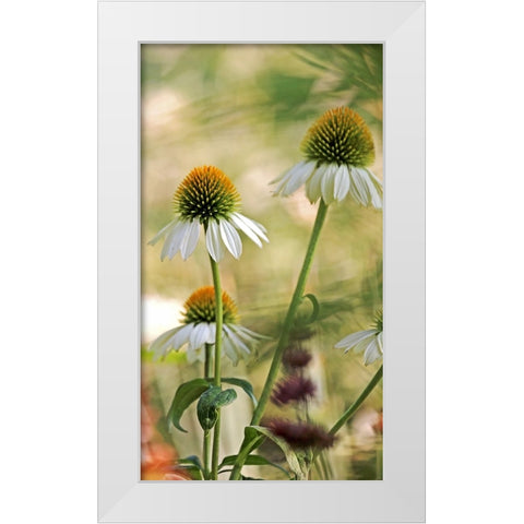 White Cones II White Modern Wood Framed Art Print by Putman, Tammy