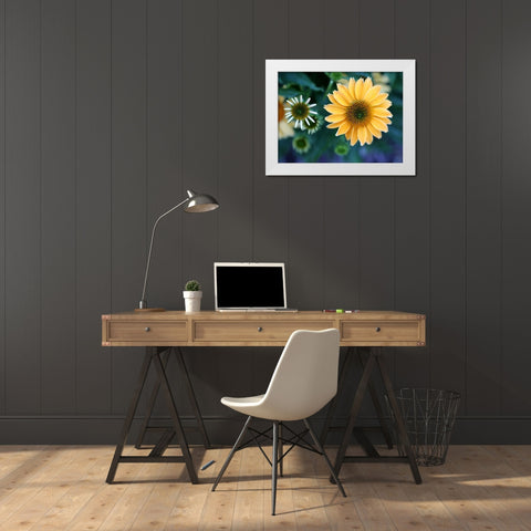 Daisies White Modern Wood Framed Art Print by Putman, Tammy