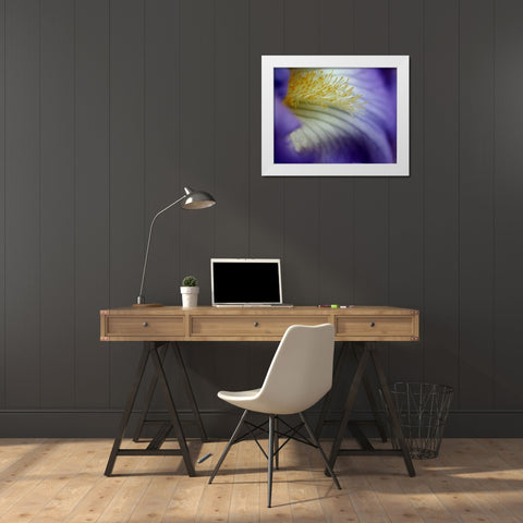 Iris White Modern Wood Framed Art Print by Putman, Tammy