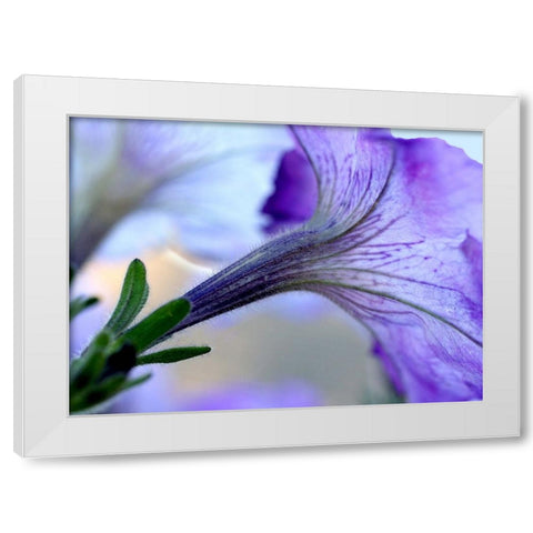 Purple Light White Modern Wood Framed Art Print by Putman, Tammy