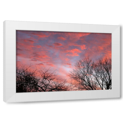 Dusk Silhouette III White Modern Wood Framed Art Print by Putman, Tammy