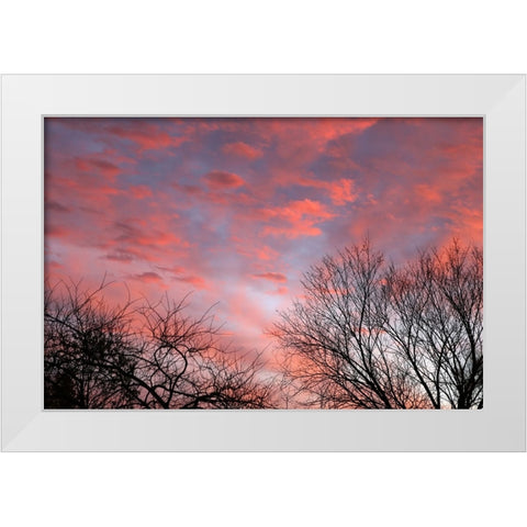 Dusk Silhouette III White Modern Wood Framed Art Print by Putman, Tammy