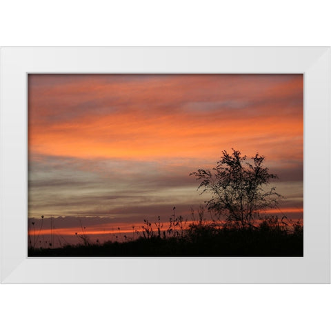 Peaceful Sunset White Modern Wood Framed Art Print by Putman, Tammy