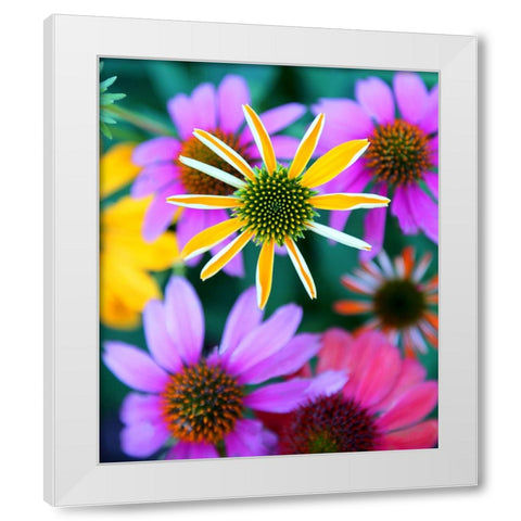 Colorful Bouquet II White Modern Wood Framed Art Print by Putman, Tammy