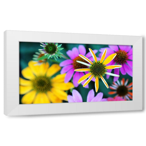 Colorful Bouquet III White Modern Wood Framed Art Print by Putman, Tammy