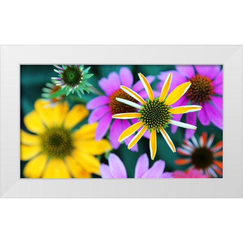 Colorful Bouquet III White Modern Wood Framed Art Print by Putman, Tammy