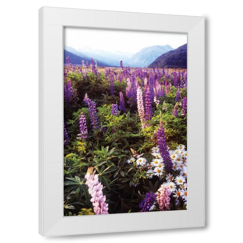Russell Lupin I White Modern Wood Framed Art Print by Stefko, Bob