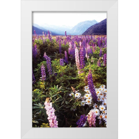 Russell Lupin I White Modern Wood Framed Art Print by Stefko, Bob
